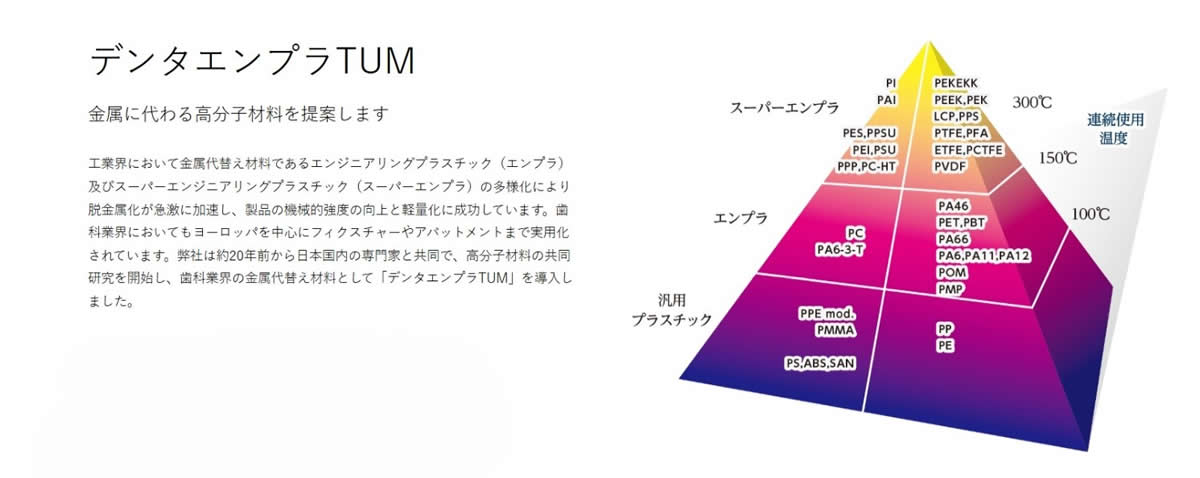 タム　デンチャー